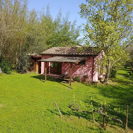 Casale Vigna Carbona カントリーハウス ガヴォッラーノ