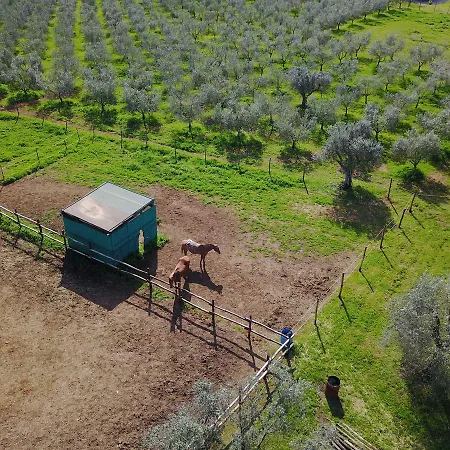 Séjour à la campagne Casale Vigna Carbona