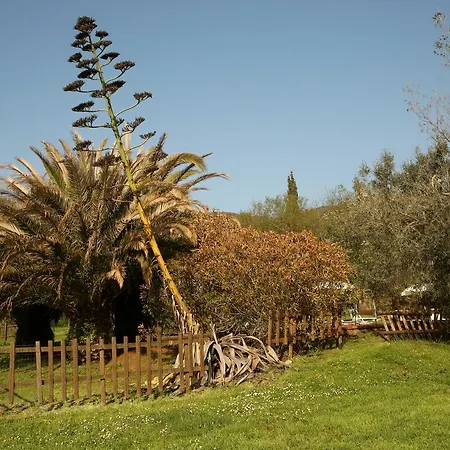 Casale Vigna Carbona Gavorrano